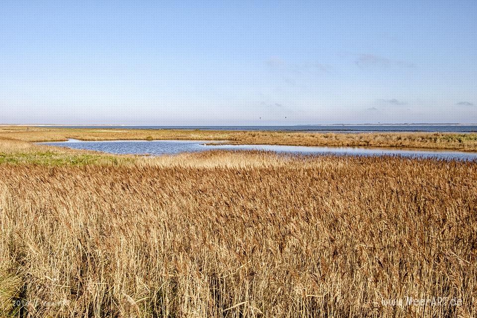 Die Nebensaison auf der nordfriesischen Insel Amrum // Foto: MeerART