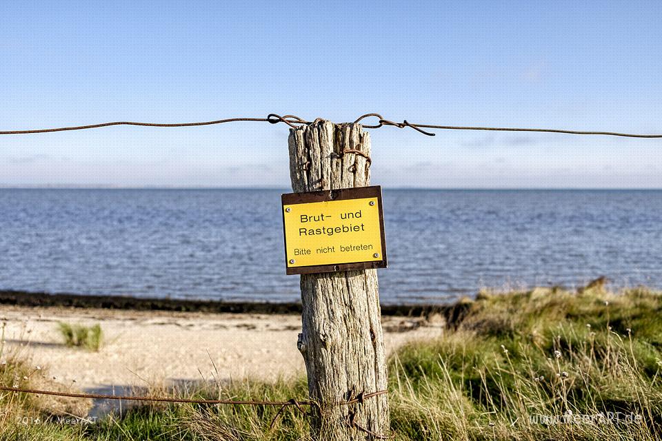 Die Nebensaison auf der nordfriesischen Insel Amrum // Foto: MeerART