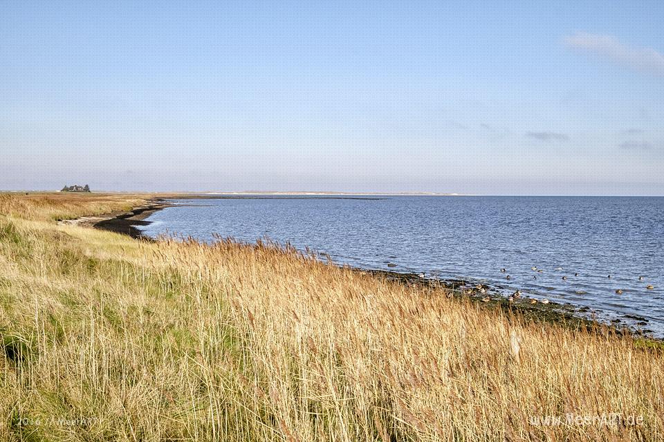 Die Nebensaison auf der nordfriesischen Insel Amrum // Foto: MeerART