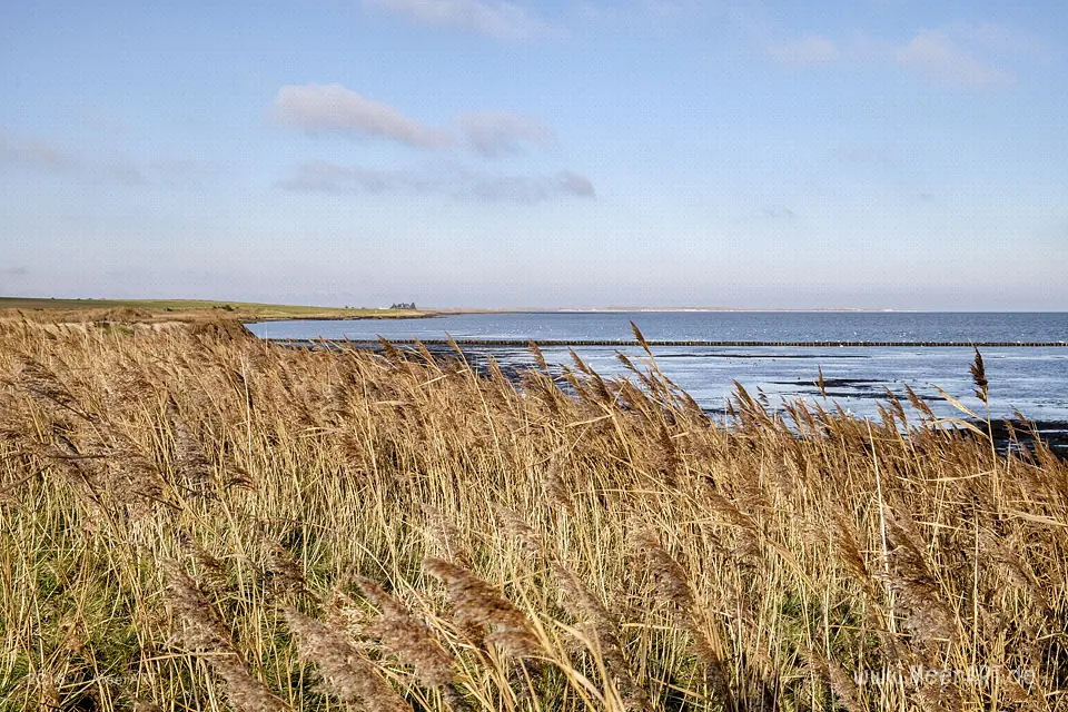 Die Nebensaison auf der nordfriesischen Insel Amrum // Foto: MeerART