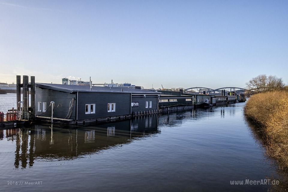 Impressionen von der Halbinsel Entenwerder in der Billwerder Bucht // Foto: MeerART