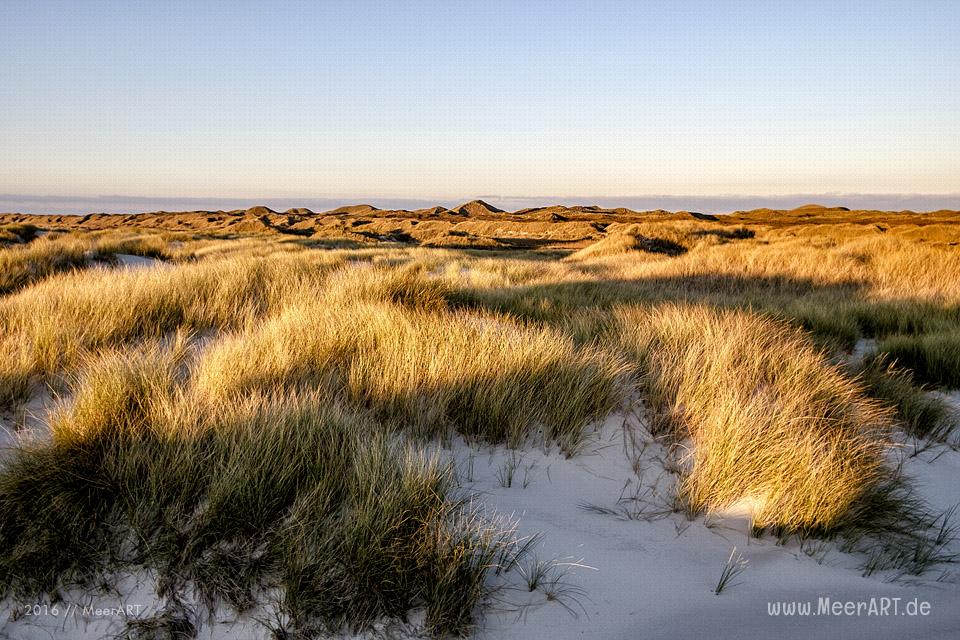 Die Nebensaison am Kniepsand auf der nordfriesischen Insel Amrum // Foto: MeerART