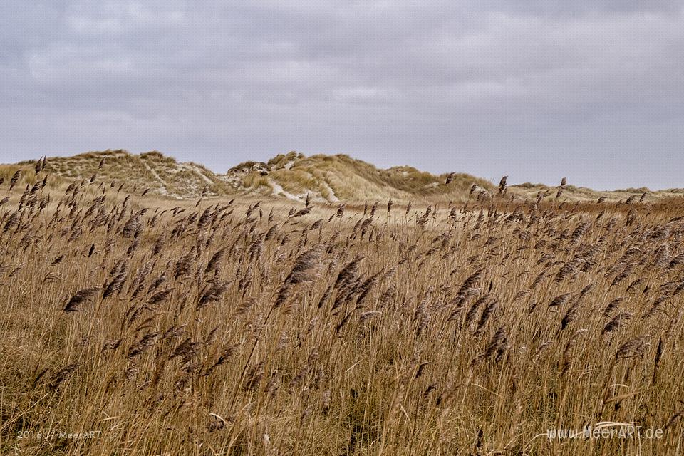 Die Ruhe nach dem Orkantief BARBARA in St. Peter-Ording // Foto: MeerART