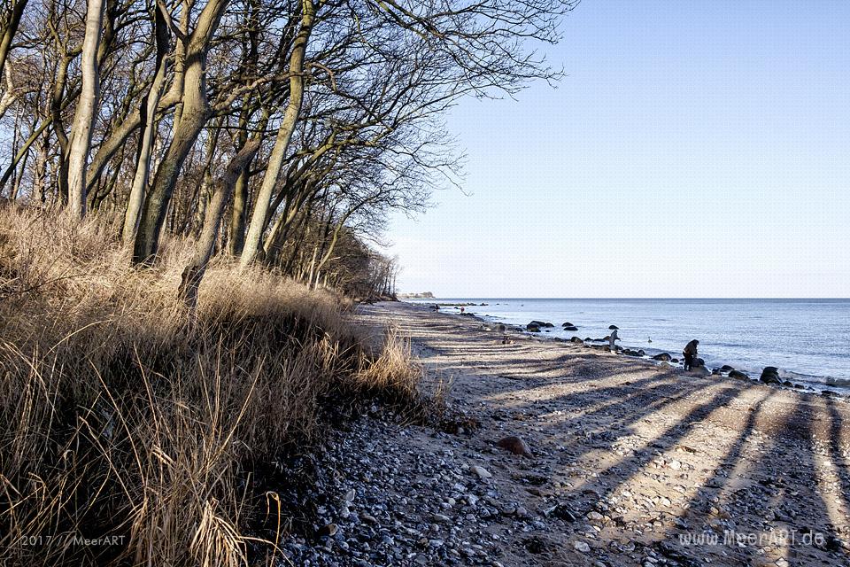 Naturstrand bei Katharinenhof auf der Ostseeinsel Fehmarn // Foto: MeerART