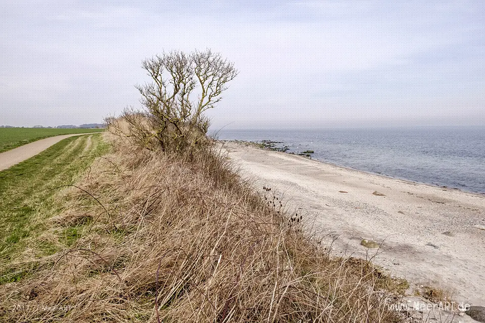 Fehmarn – Ernst Ludwig Kirchners Paradies // Foto: MeerART