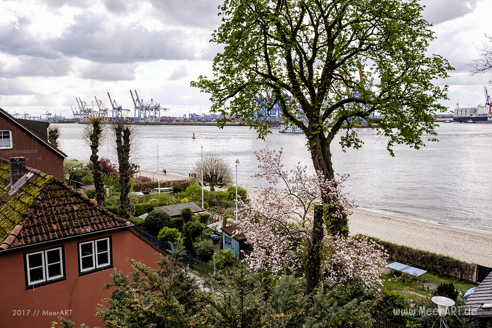 Ein schmaler Fußweg mit idyllisch gelegenen Wohnhäusern an der Elbe // Foto: MeerART