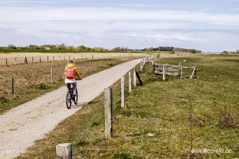 Radtour auf der schönen Sonneninsel Fehmarn // Foto: MeerART