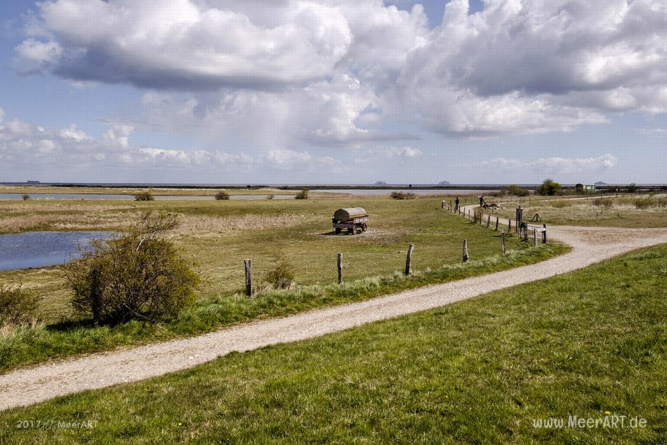 Radtour auf der schönen Sonneninsel Fehmarn // Foto: MeerART