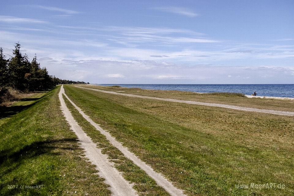 Radtour auf der schönen Sonneninsel Fehmarn // Foto: MeerART