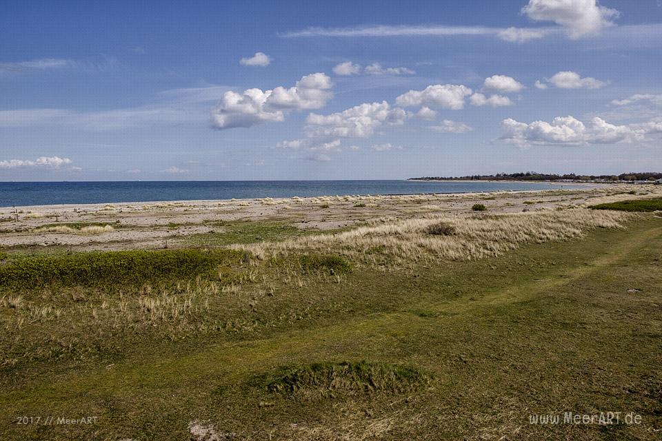 Radtour auf der schönen Sonneninsel Fehmarn // Foto: MeerART