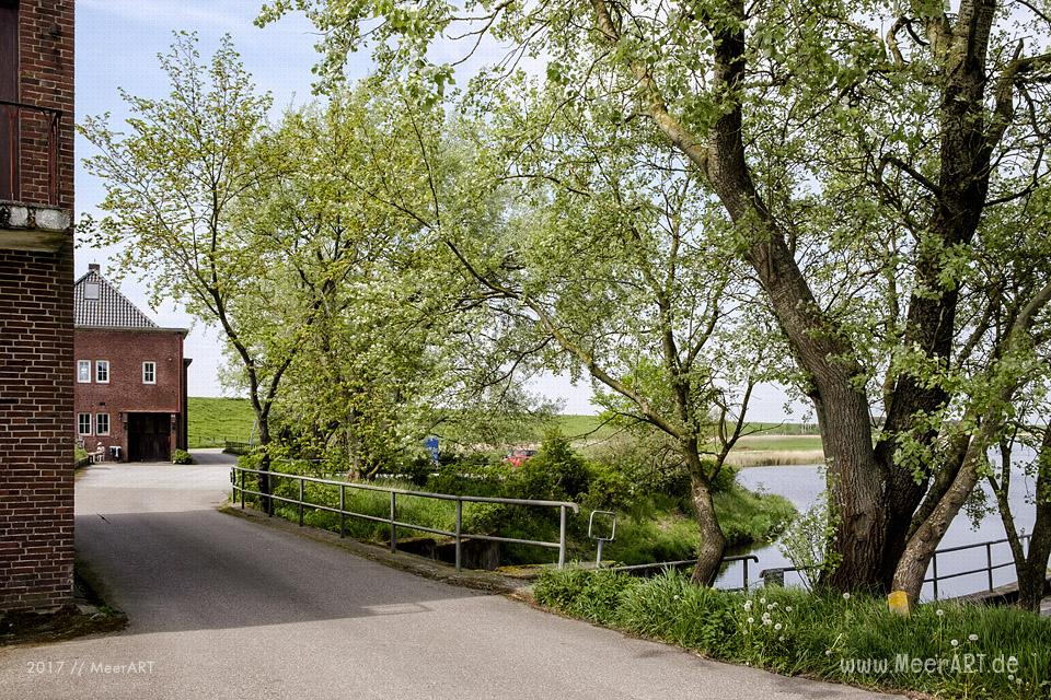 Das Naturschutzgebiet Beltringharder Koog in Nordfriesland // Foto: MeerART