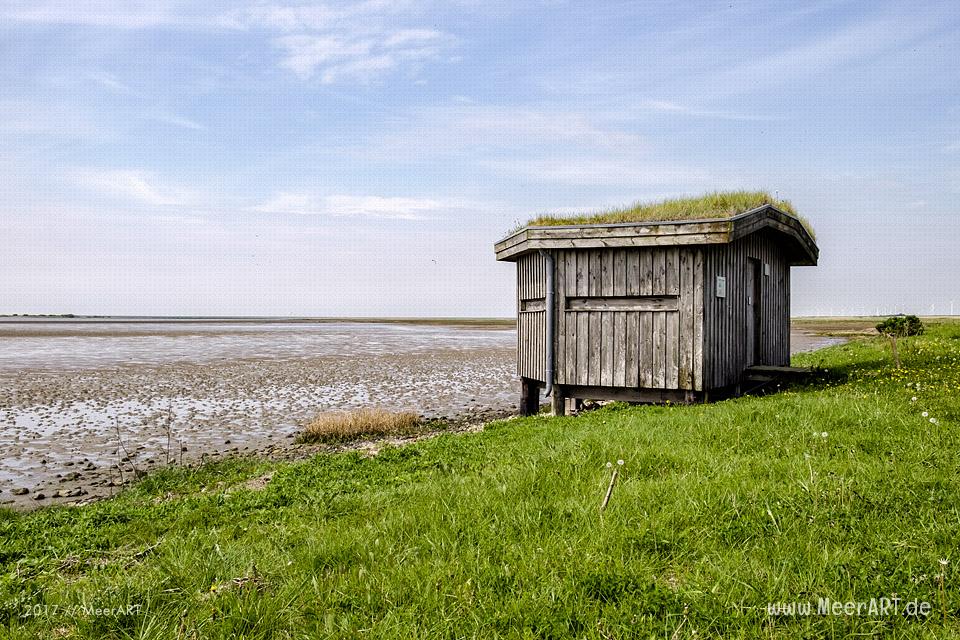 Das Naturschutzgebiet Beltringharder Koog in Nordfriesland // Foto: MeerART