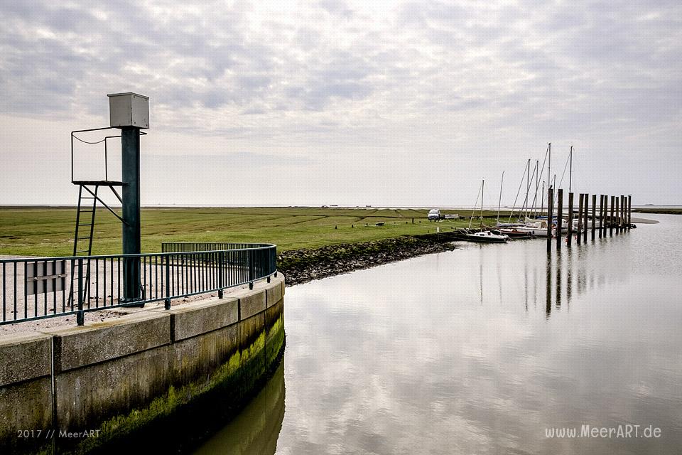 Das Naturschutzgebiet Beltringharder Koog in Nordfriesland // Foto: MeerART