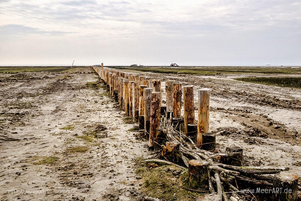 Das Naturschutzgebiet Beltringharder Koog in Nordfriesland // Foto: MeerART