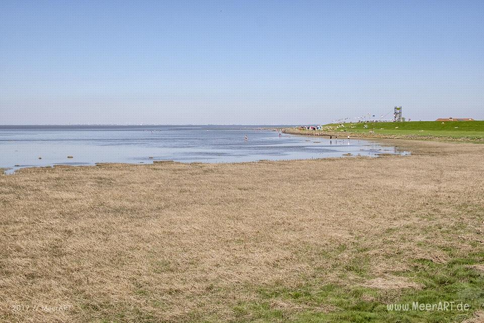 Der Trischendamm an der Nordsee bei Friedrichskoog-Spitze // Foto: MeerART