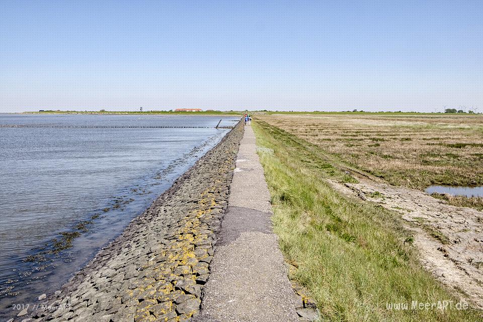 Der Trischendamm an der Nordsee bei Friedrichskoog-Spitze // Foto: MeerART