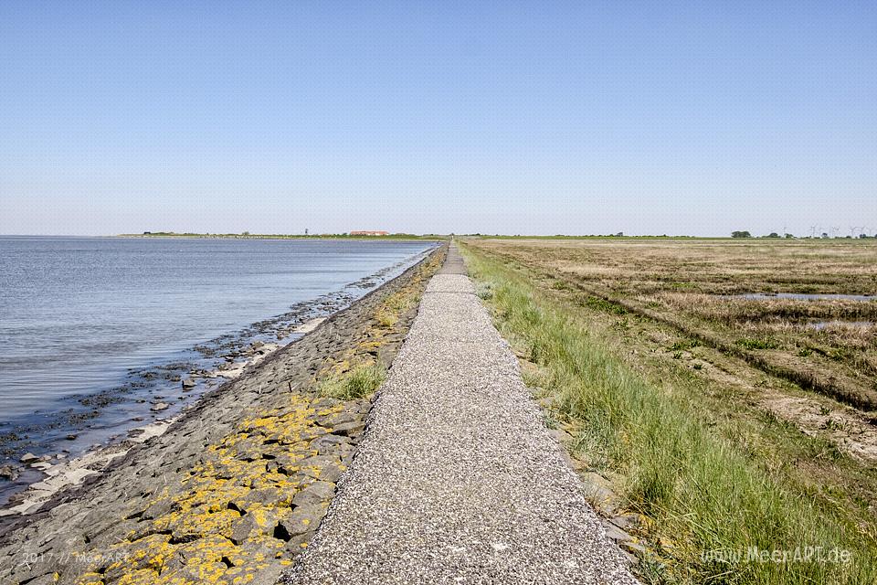 Der Trischendamm an der Nordsee bei Friedrichskoog-Spitze // Foto: MeerART