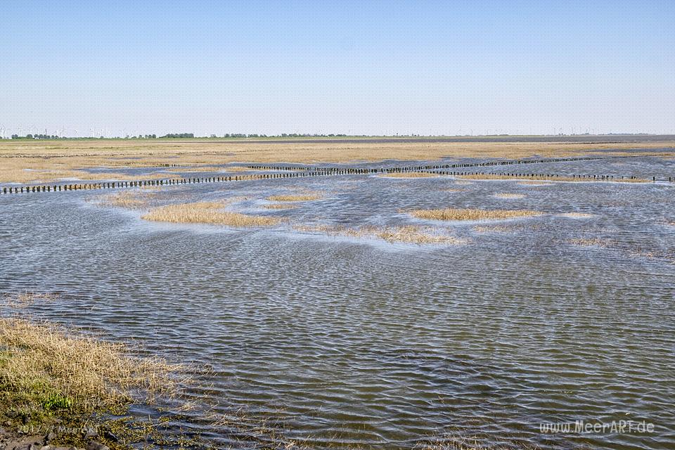 Der Trischendamm an der Nordsee bei Friedrichskoog-Spitze // Foto: MeerART