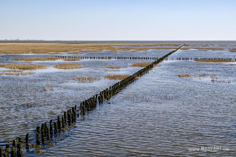 Der Trischendamm an der Nordsee bei Friedrichskoog-Spitze // Foto: MeerART