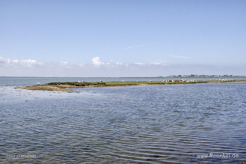 Inselauszeit auf Fehmarn der Sonneninsel in Ostholstein // Foto: MeerART
