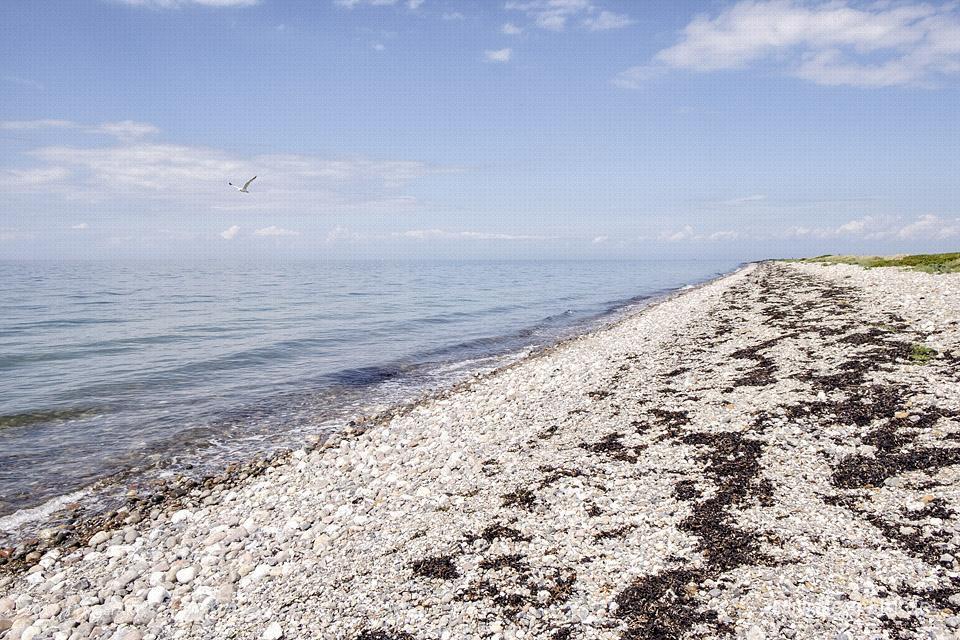 Inselauszeit auf Fehmarn der Sonneninsel in Ostholstein // Foto: MeerART