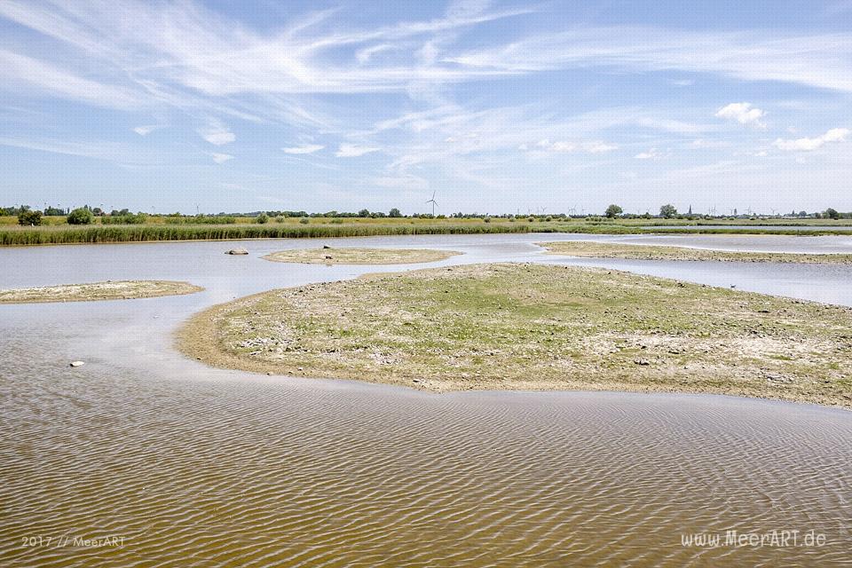 Das künstlich angelegte NABU Wasservogelreservat Wallnau im Westen der Ostseeinsel Fehmarn // Foto: MeerART