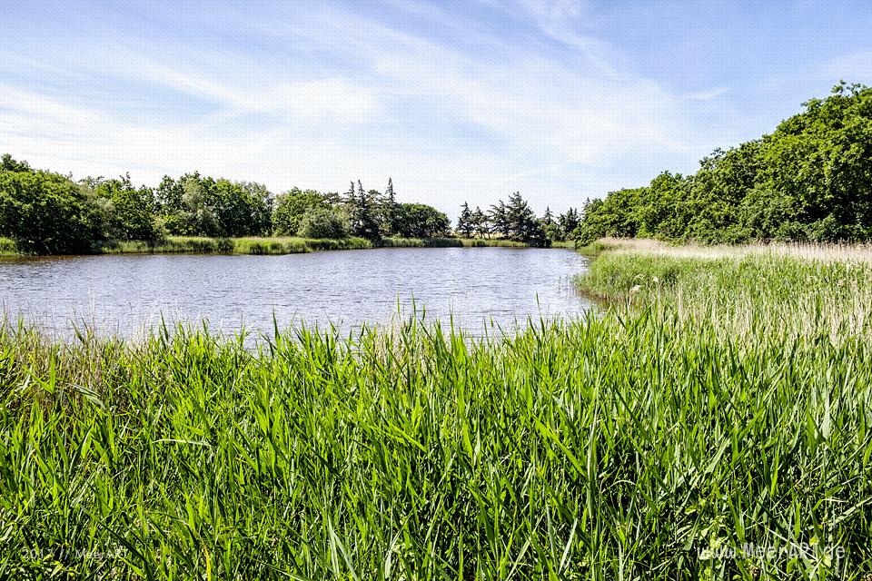 Das künstlich angelegte NABU Wasservogelreservat Wallnau im Westen der Ostseeinsel Fehmarn // Foto: MeerART