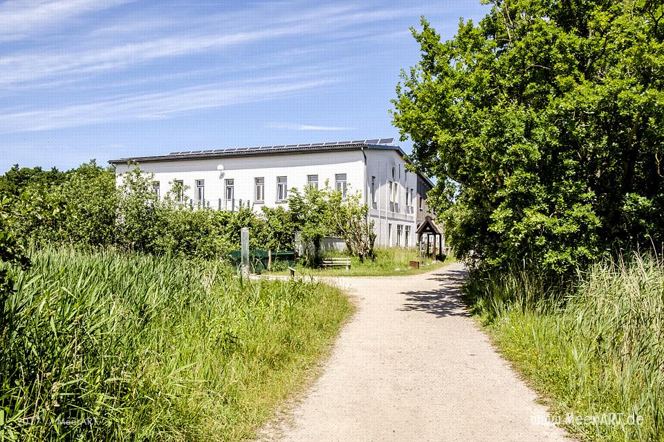 Das künstlich angelegte NABU Wasservogelreservat Wallnau im Westen der Ostseeinsel Fehmarn // Foto: MeerARTDas künstlich angelegte NABU Wasservogelreservat Wallnau im Westen der Ostseeinsel Fehmarn // Foto: MeerART