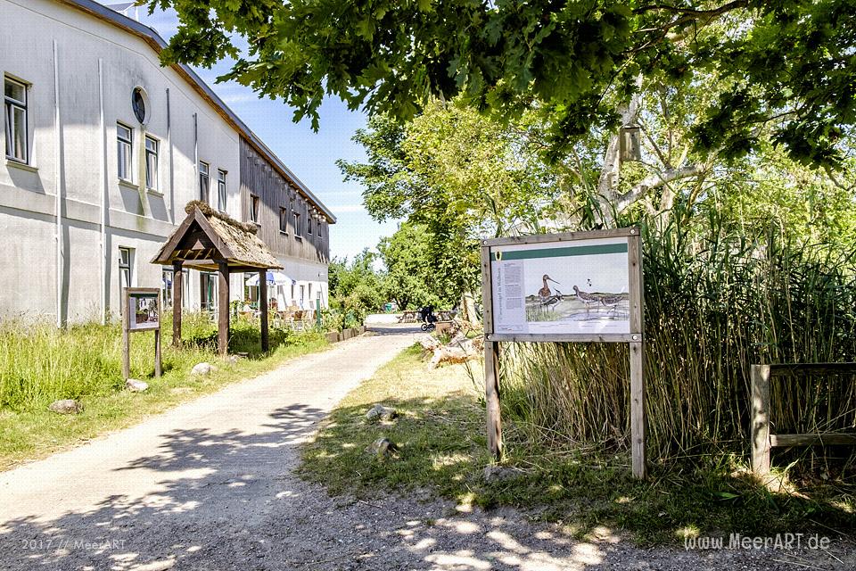 Das künstlich angelegte NABU Wasservogelreservat Wallnau im Westen der Ostseeinsel Fehmarn // Foto: MeerART