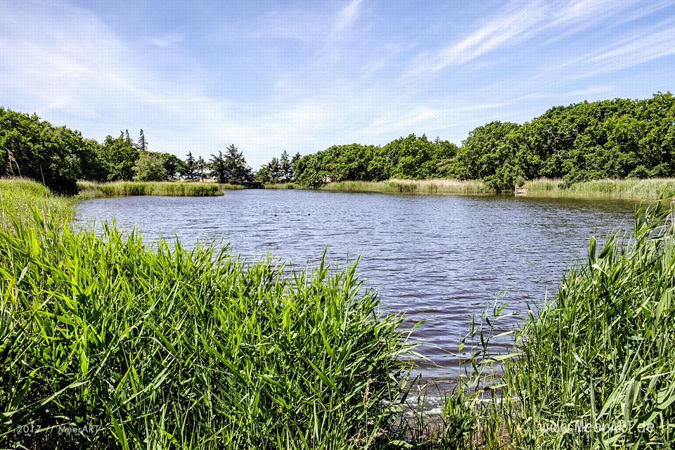 Das künstlich angelegte NABU Wasservogelreservat Wallnau im Westen der Ostseeinsel Fehmarn // Foto: MeerART