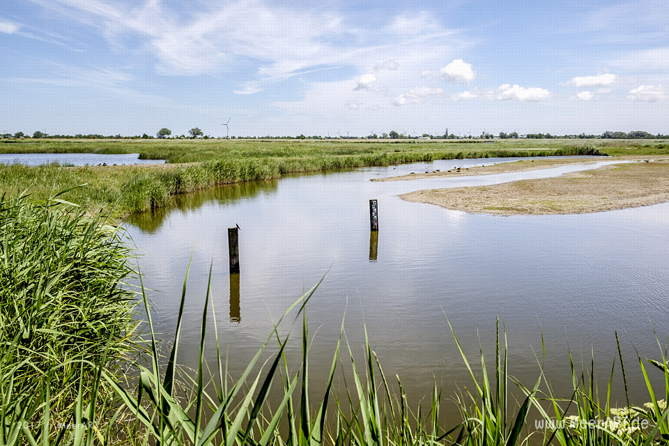 Das künstlich angelegte NABU Wasservogelreservat Wallnau im Westen der Ostseeinsel Fehmarn // Foto: MeerART