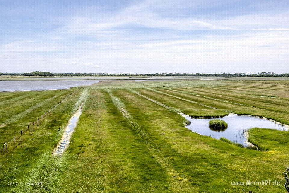 Das künstlich angelegte NABU Wasservogelreservat Wallnau im Westen der Ostseeinsel Fehmarn // Foto: MeerART