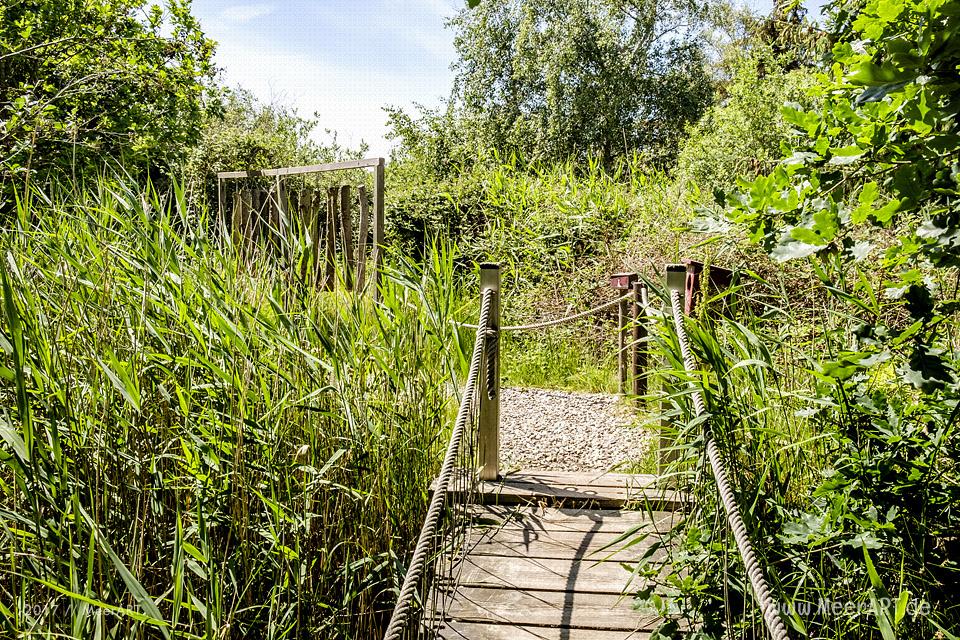 Das künstlich angelegte NABU Wasservogelreservat Wallnau im Westen der Ostseeinsel Fehmarn // Foto: MeerART