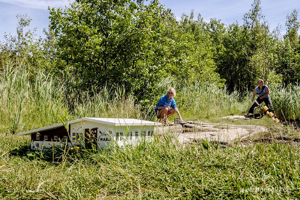 Das künstlich angelegte NABU Wasservogelreservat Wallnau im Westen der Ostseeinsel Fehmarn // Foto: MeerART
