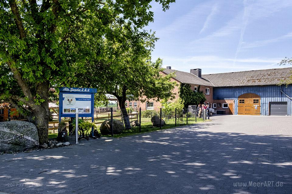 Der Rinderhof von Maya und Jens Seyer in Osdorf nahe der Ostsee im idyllischen Dänischen Wohld