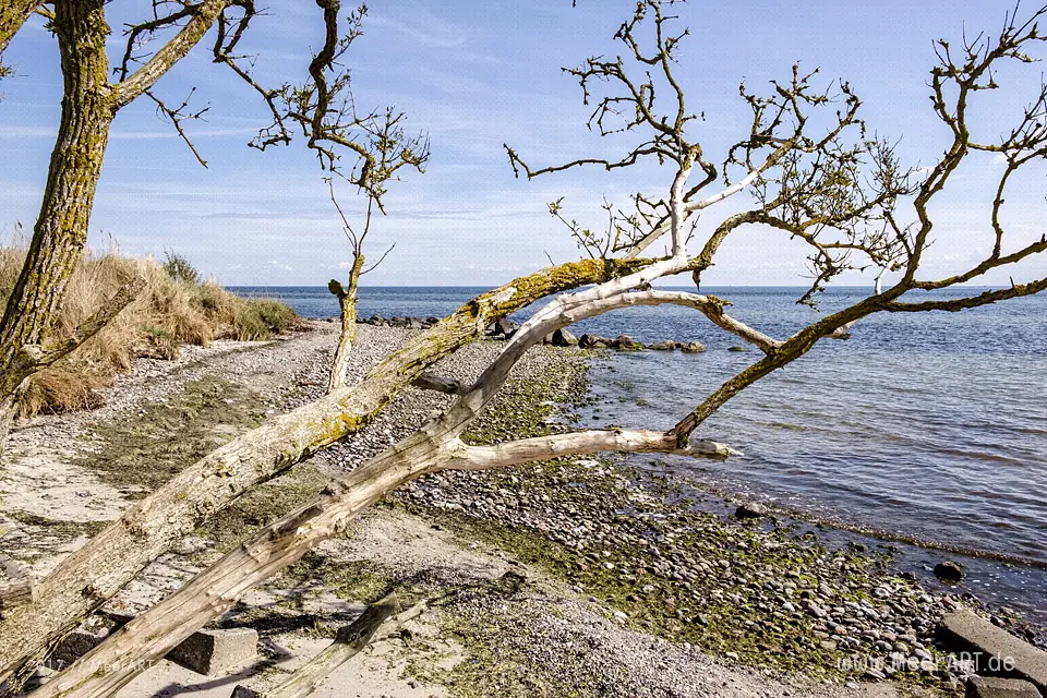 Idyllischer Strandabschnitt von Wulfen bis Fehmarnsund // Foto: MeerART
