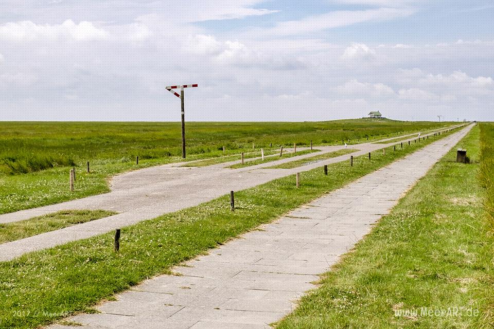 Ausflug zur Hamburger Hallig an der Westküste in Nordfriesland // Foto: MeerART / Ralph Kerpa