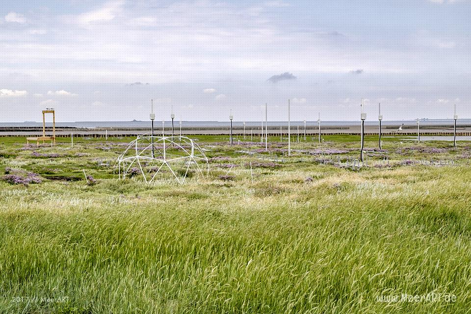 Ausflug zur Hamburger Hallig an der Westküste in Nordfriesland // Foto: MeerART / Ralph Kerpa