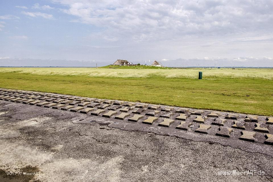 Ausflug zur Hamburger Hallig an der Westküste in Nordfriesland // Foto: MeerART / Ralph Kerpa