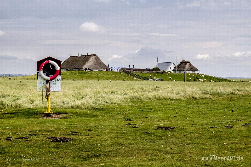 Ausflug zur Hamburger Hallig an der Westküste in Nordfriesland // Foto: MeerART / Ralph Kerpa