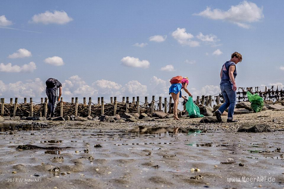 Müllsammelaktion beim Nordfriesland Daag am 14.07.2017 in Westerhever zwischen Stufhusen und der Lammerswarft // Foto: MeerART / R. Kerpa