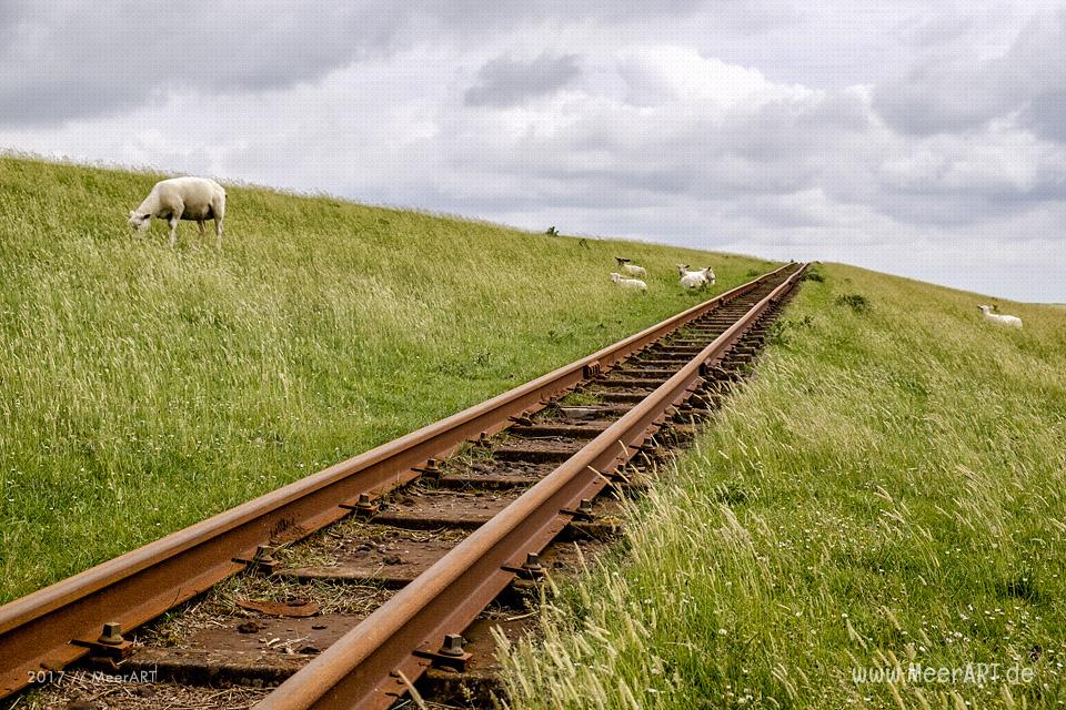 Lüttmoorsiel mit dem Lorendamm der Halligbahn nach Nordstrandischmoor // Foto: MeerART / Ralph Kerpa