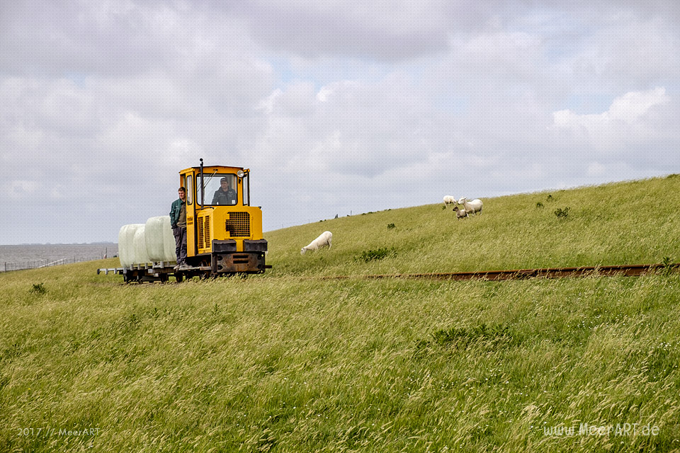 Lüttmoorsiel mit dem Lorendamm der Halligbahn nach Nordstrandischmoor // Foto: MeerART / Ralph Kerpa