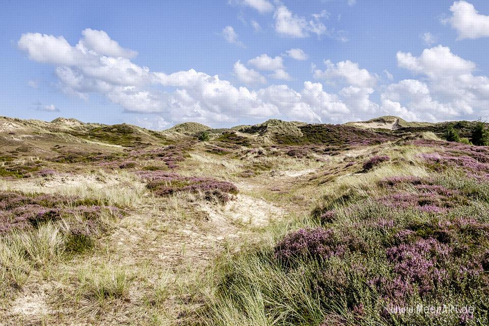 Eine grandiose InselAuszeit auf Amrum mit einer ganz besonderen Überraschung // Foto: MeerART / Ralph Kerpa