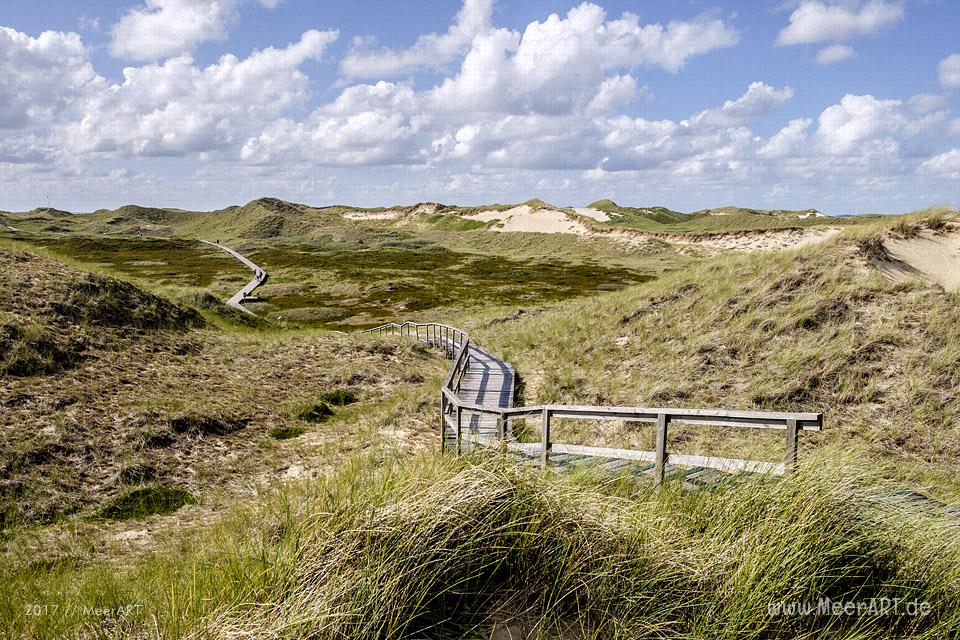 Eine grandiose InselAuszeit auf Amrum mit einer ganz besonderen Überraschung // Foto: MeerART / Ralph Kerpa