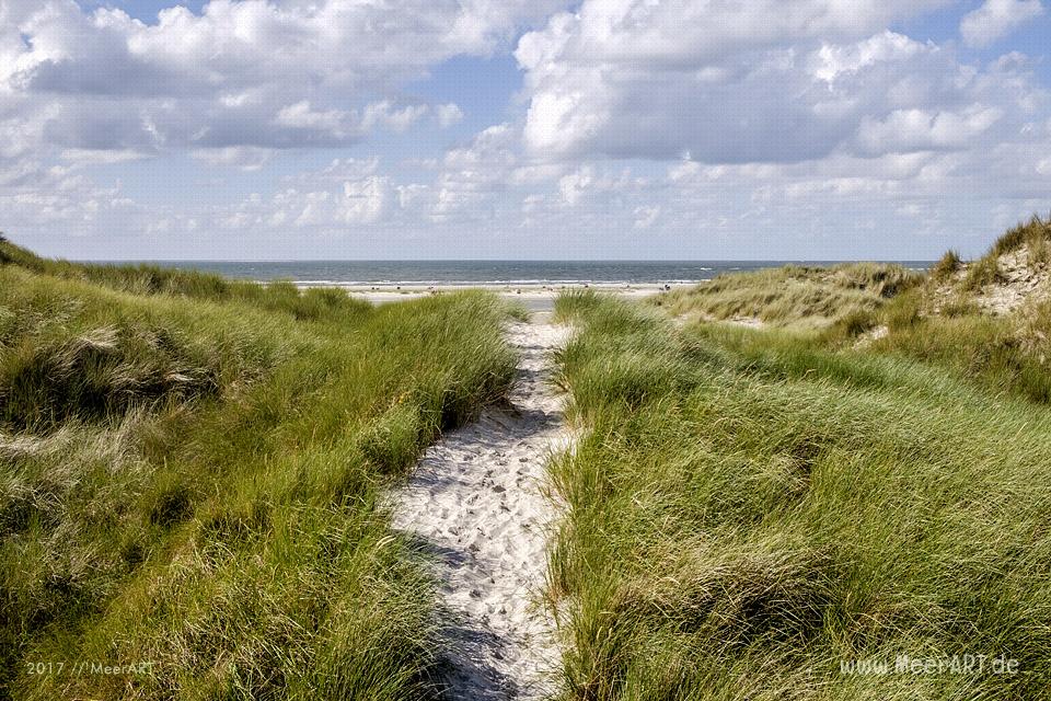 Eine grandiose InselAuszeit auf Amrum mit einer ganz besonderen Überraschung // Foto: MeerART / Ralph Kerpa