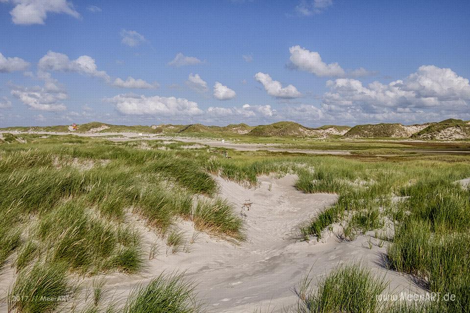Eine grandiose InselAuszeit auf Amrum mit einer ganz besonderen Überraschung // Foto: MeerART / Ralph Kerpa