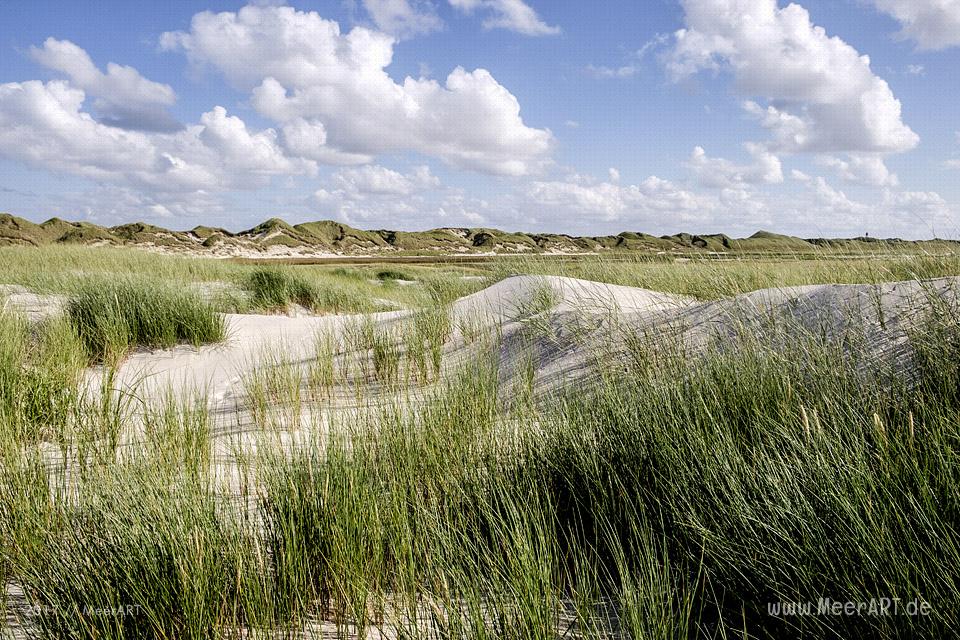 Eine grandiose InselAuszeit auf Amrum mit einer ganz besonderen Überraschung // Foto: MeerART / Ralph Kerpa