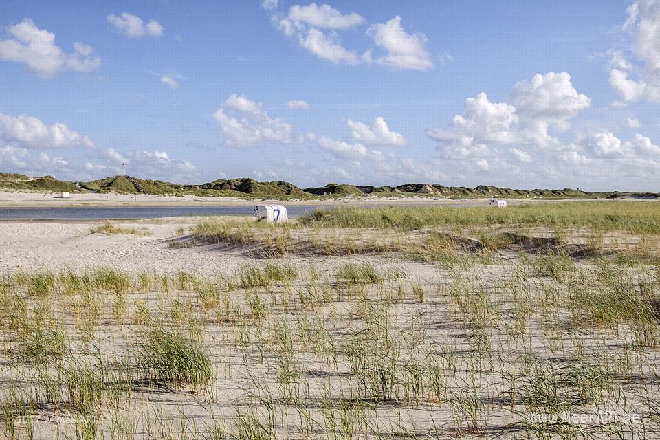 Eine grandiose InselAuszeit auf Amrum mit einer ganz besonderen Überraschung // Foto: MeerART / Ralph Kerpa