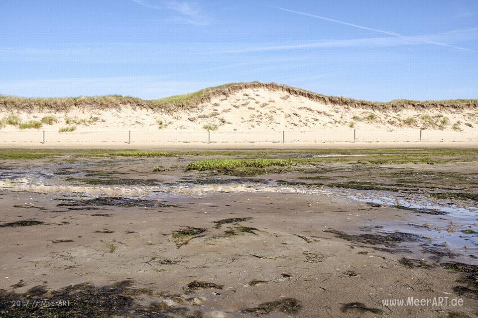 Eine grandiose InselAuszeit auf Amrum mit einer ganz besonderen Überraschung // Foto: MeerART / Ralph Kerpa